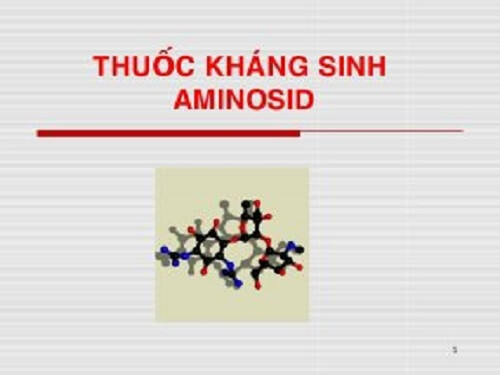 Thuốc kháng sinh aminoglycosid 